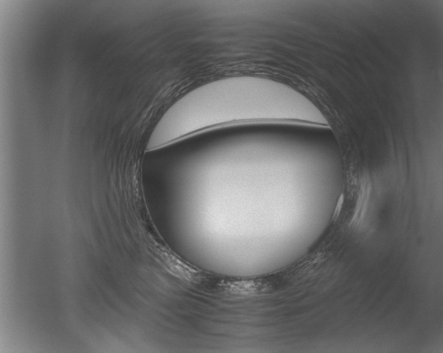 X0000051240473200506170820