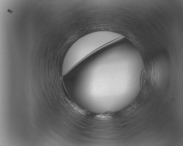 X0000051240477200506170820