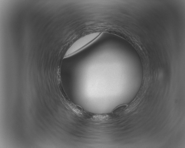X0000051240480200506170820