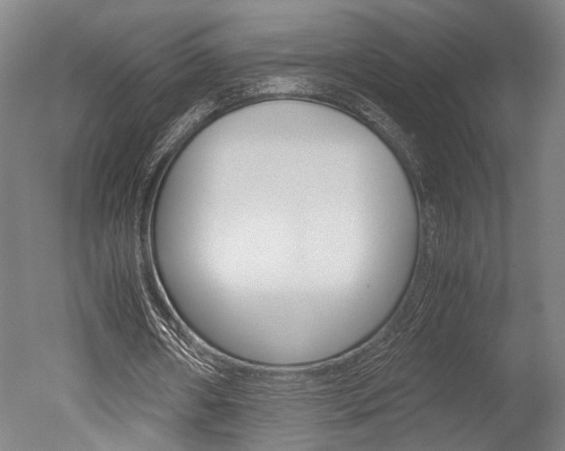 X0000051240482200506170820