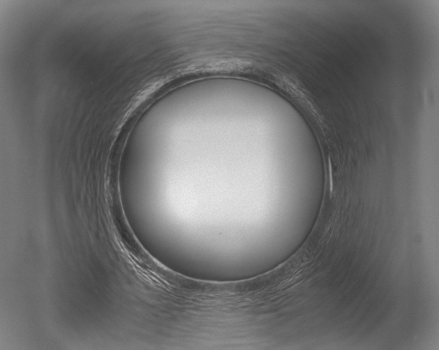 X0000051240483200506170820
