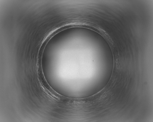 X0000051240484200506170820