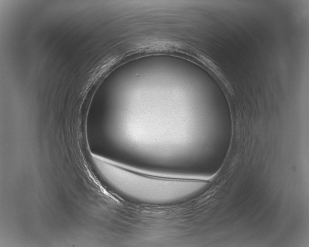 X0000051240485200506170820