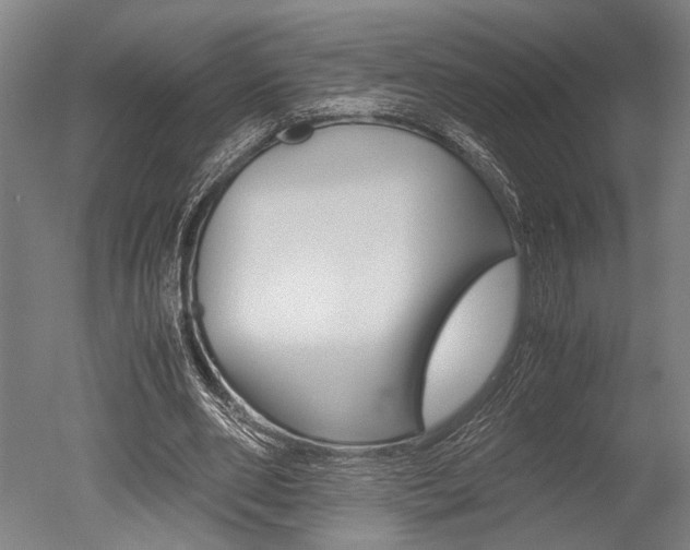 X0000051240486200506170820