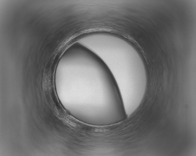 X0000051240487200506170820