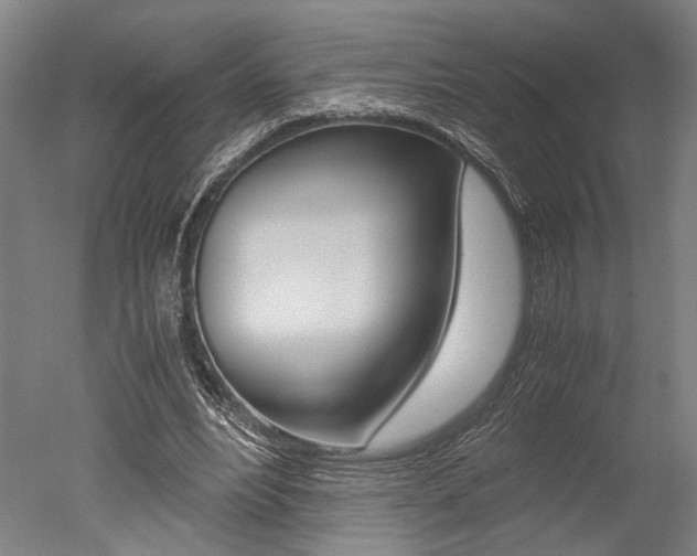 X0000051240488200506170820
