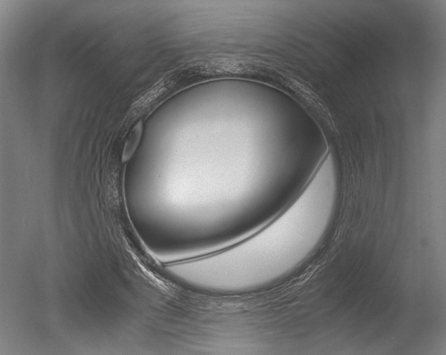 X0000051240489200506170820