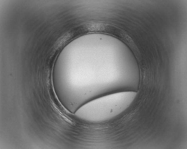 X0000051240490200506170819