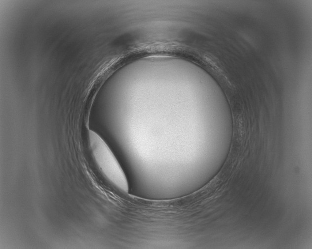 X0000051240491200506170819