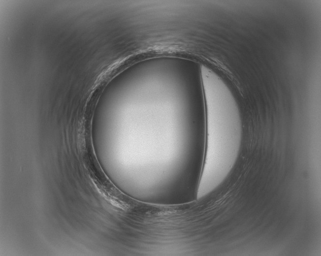 X0000051240492200506170819