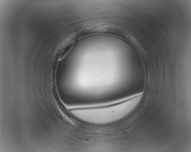 X0000051240493200506170819