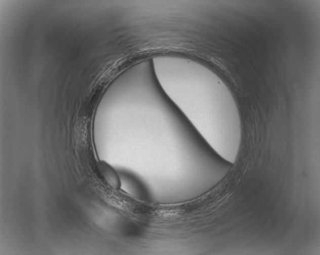 X0000051240495200506170819