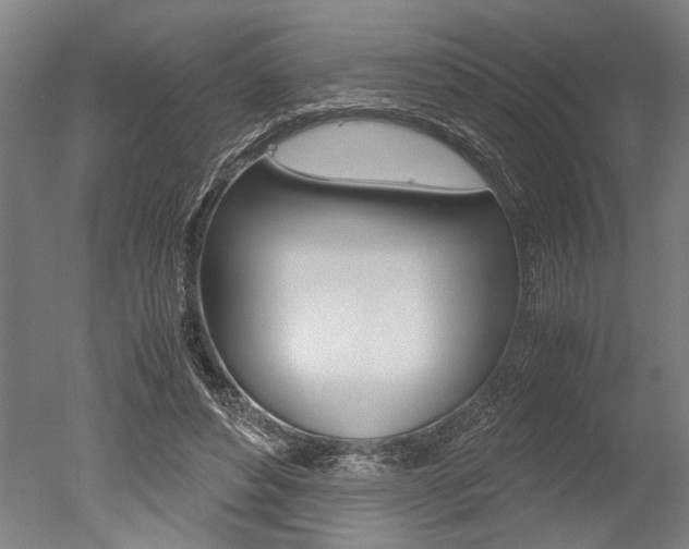 X0000051240496200506170819
