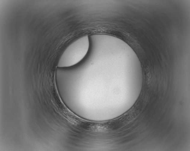X0000051240498200506170819