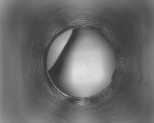 X0000051240504200506170819