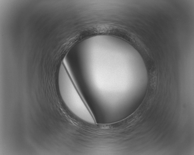 X0000051240505200506170819