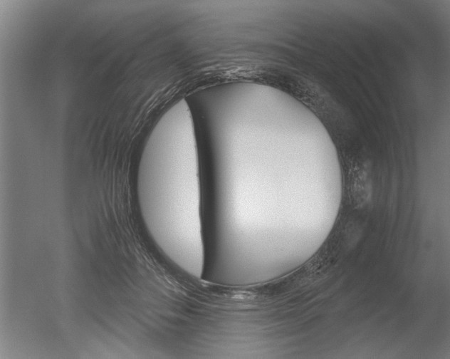 X0000051240506200506170819