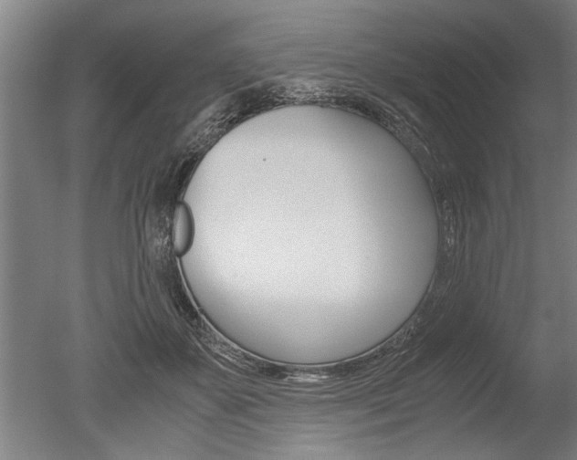 X0000051240507200506170819