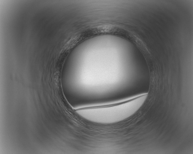 X0000051240509200506170819