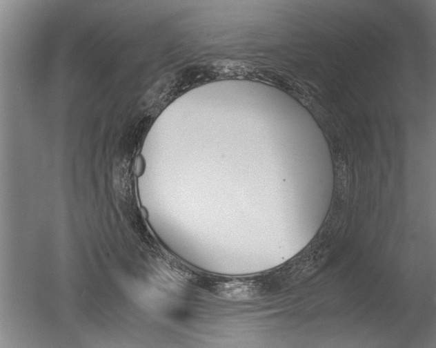 X0000051240511200506170819