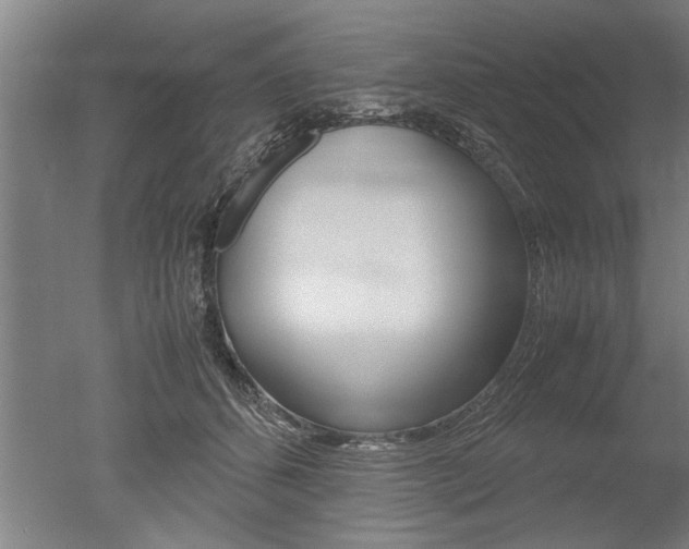 X0000051240512200506170819
