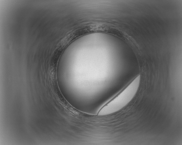X0000051240513200506170819