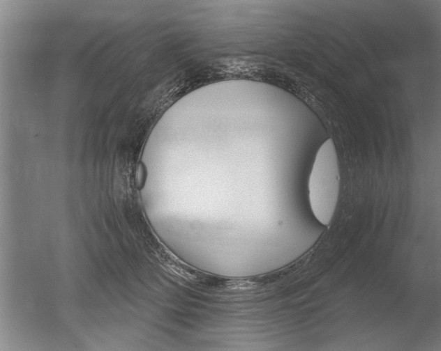 X0000051240514200506170819