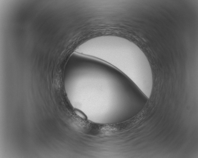 X0000051240515200506170819