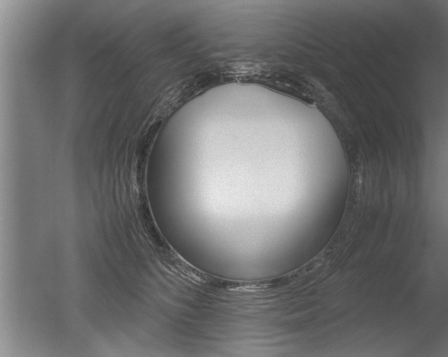 X0000051240516200506170819
