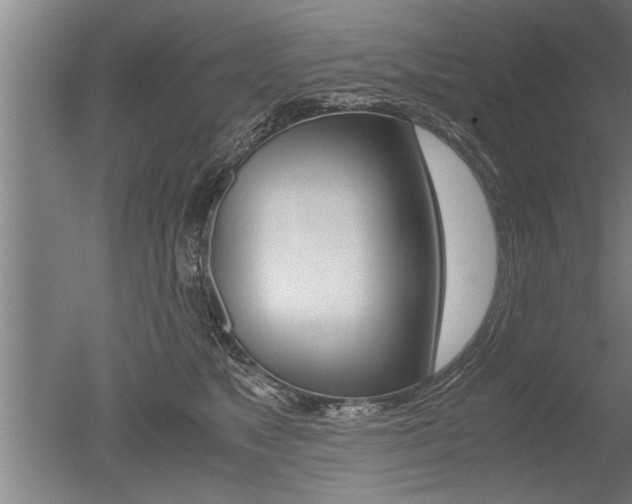 X0000051240517200506170819