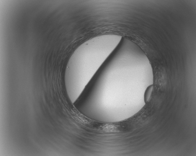 X0000051240518200506170819