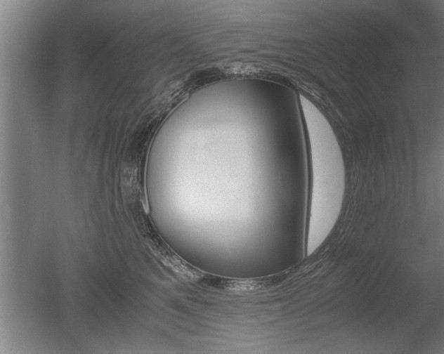 X0000051240521200506170819