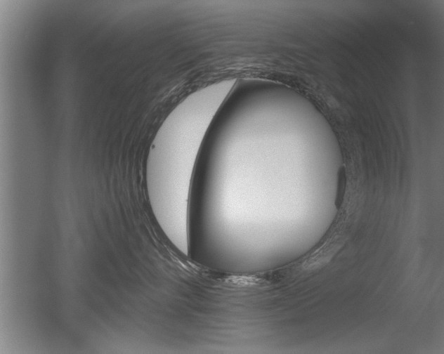 X0000051240528200506170819
