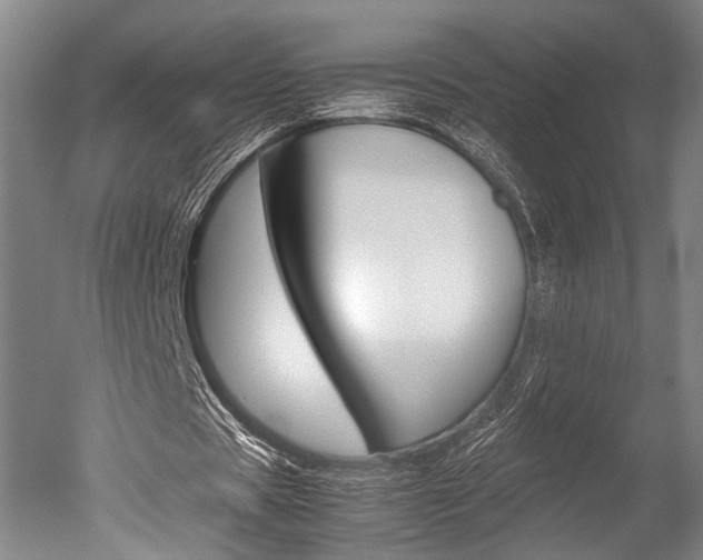 X0000051240529200506170818