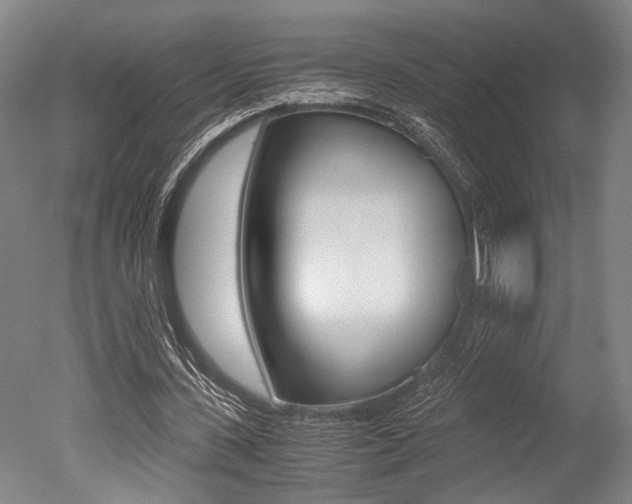 X0000051240531200506170818