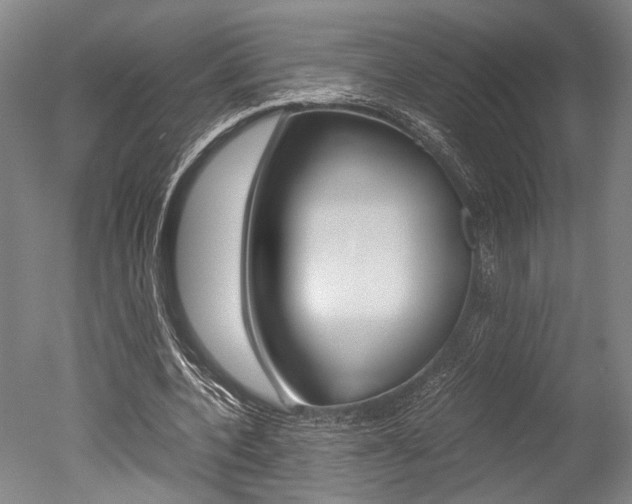 X0000051240532200506170818