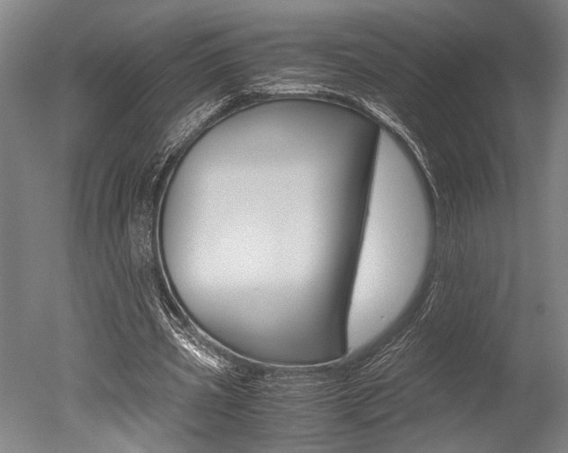 X0000051240533200506170818