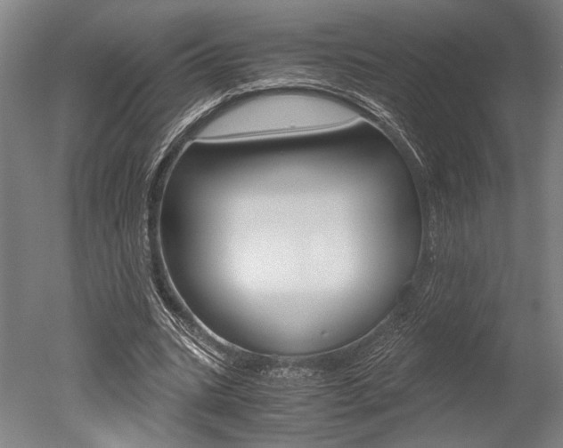 X0000051240535200506170818