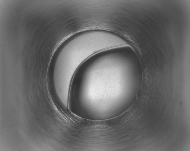 X0000051240536200506170818