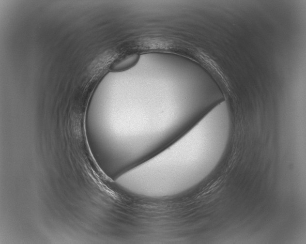 X0000051240537200506170818