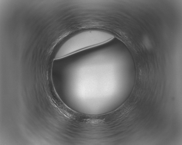 X0000051240539200506170818