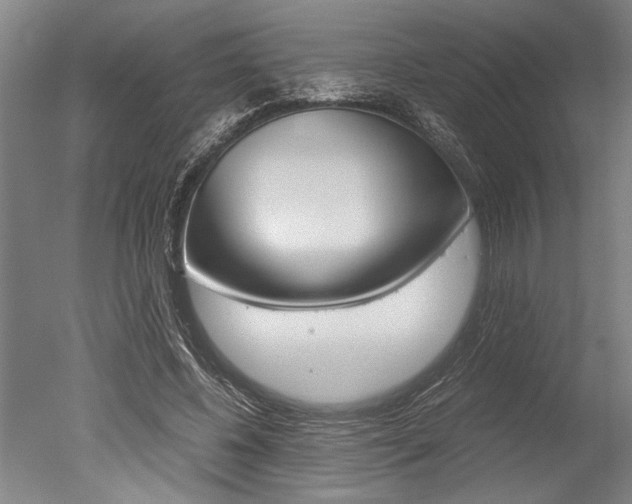 X0000051240540200506170818