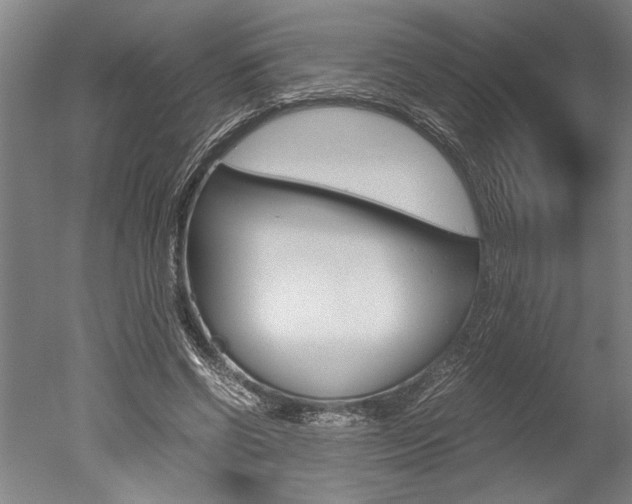 X0000051240542200506170818