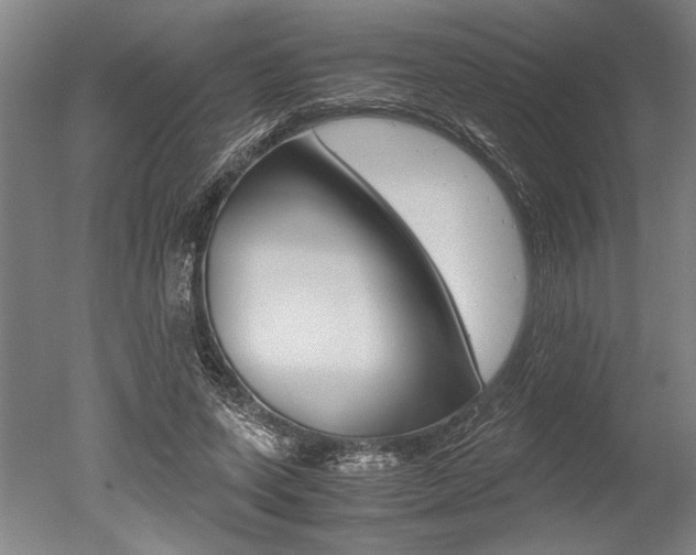 X0000051240543200506170818