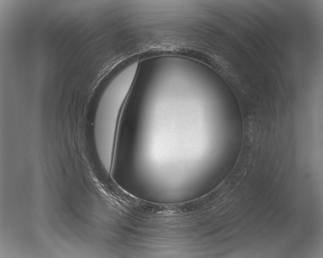 X0000051240544200506170818