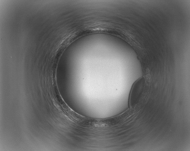 X0000051240547200506170818