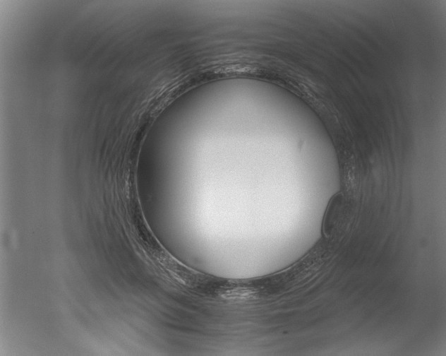 X0000051240551200506170818