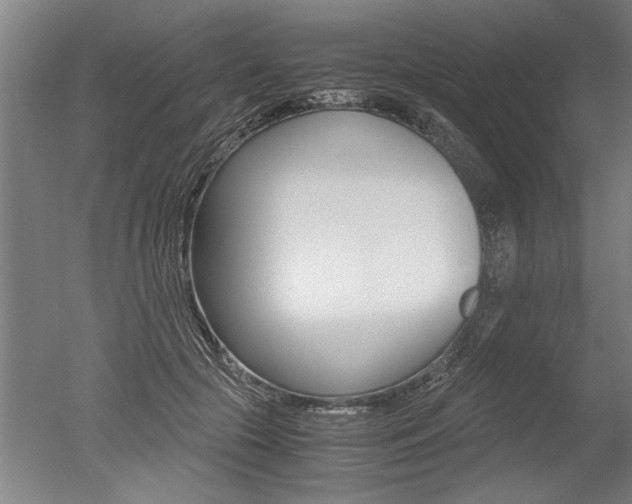 X0000051240553200506170818
