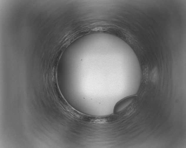 X0000051240554200506170818
