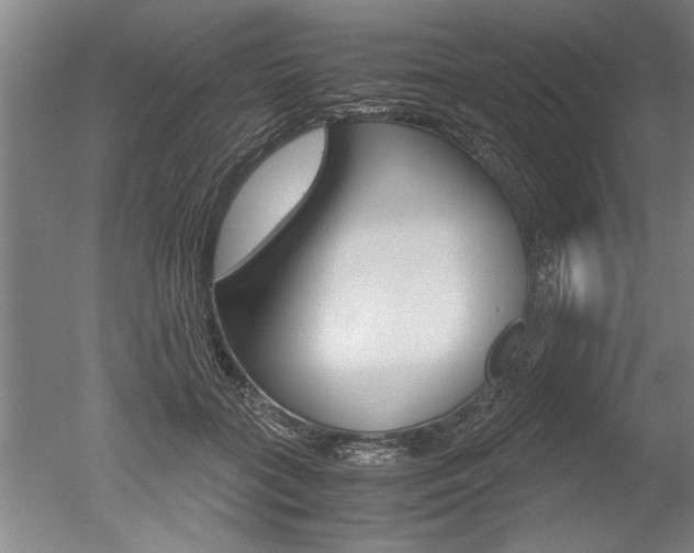 X0000051240555200506170818